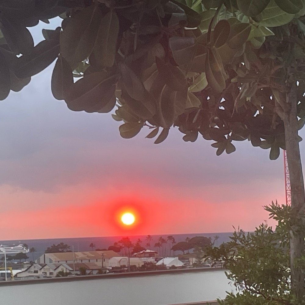 Meet your Posher, Neeva